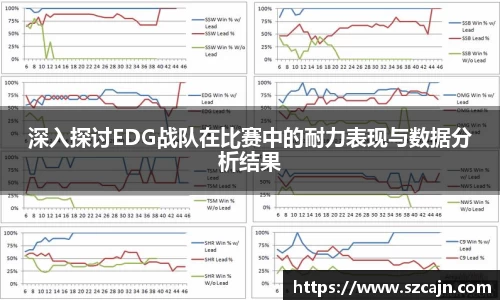 深入探讨EDG战队在比赛中的耐力表现与数据分析结果