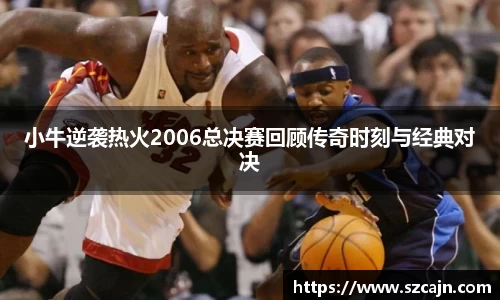 小牛逆袭热火2006总决赛回顾传奇时刻与经典对决